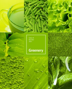 Pantone Farbe des Jahres 2017: Greenery | Style my Fashion